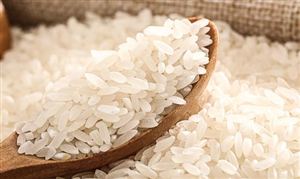 2023年中国有机大米行业发展分析