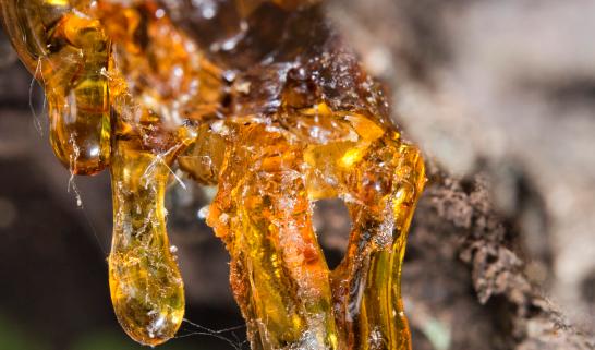 2023年中国呋喃树脂行业市场发展现状分析