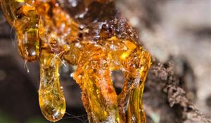 2023年中国呋喃树脂行业市场发展现状分析