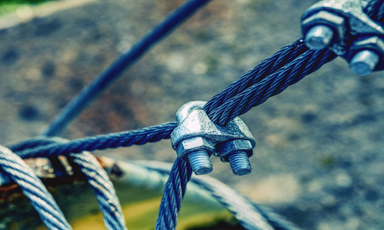 钢丝绳行业重点企业洞察及前景预测