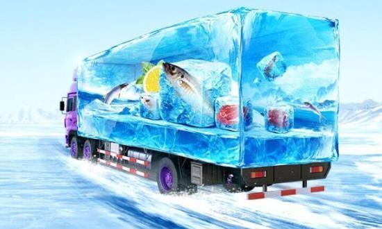 生鲜冷链物流行业发展趋势 生鲜冷链物流行业市场调查及投资分析