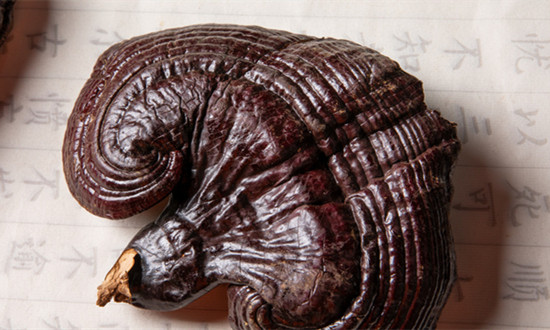 灵芝孢子粉行业发展分析及前景预测