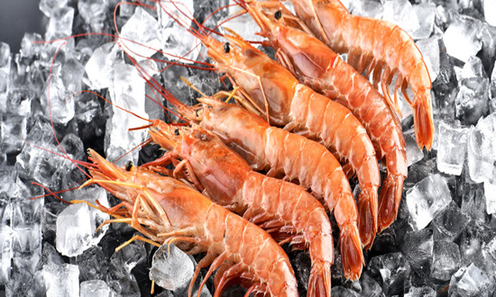 2023冷冻虾行业发展前景如何？冷冻虾行业前景研究分析