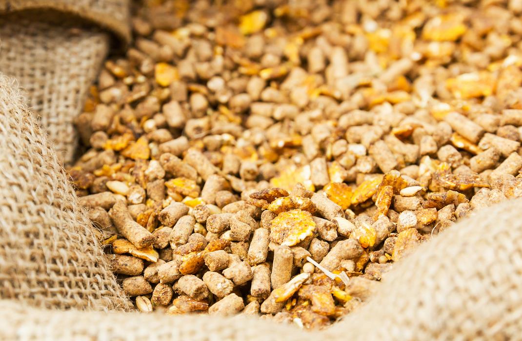 3月份全国饲料生产形势 我国饲料产业发展的战略机遇