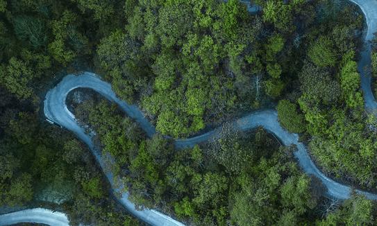 中国森林旅游行业市场发展现状2023 预测市场综合产值将达4000亿元