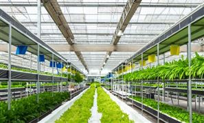 中国现代农业行业参与者数量呈上升态势 中国现代农业行业分析2023