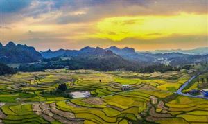 我国农业的未来在哪里? 中国三产融合的发展潜力与前景方向2023