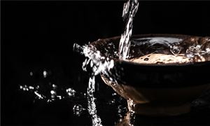 茅台、洋河、习酒纷纷入局 百元价位争夺战打响 未来白酒行业趋势分析