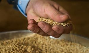 2023年中国粮食仓储行业发展前景分析