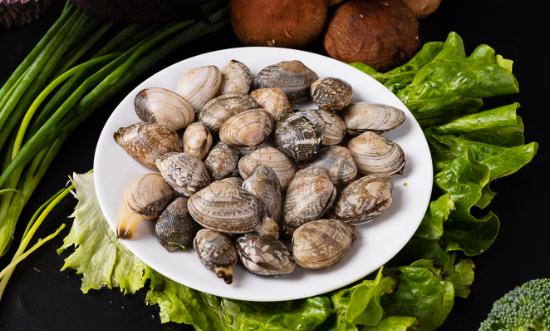 2023贝类养殖行业发展现状及发展前景分析