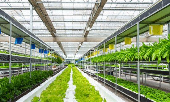 2023互联网+农业行业市场研究分析报告