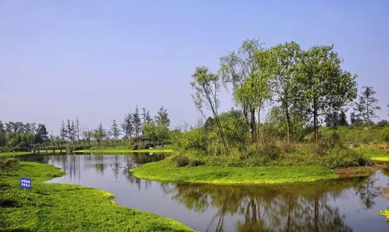 水资源生态修复行业投资潜力 2023水资源生态修复行业市场发展调研及投资分析