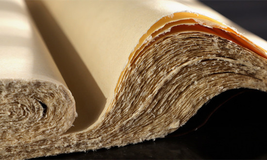 木浆行业市场投资前景及未来现状趋势分析