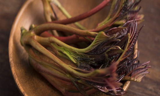 香椿行业前景如何？香椿种植行业投资价值分析