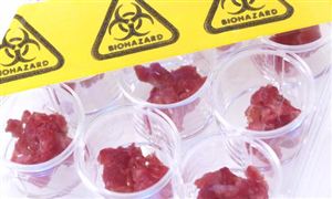 人造肉对气候影响可能是牛肉的25倍 预计人造肉市场发展潜力巨大