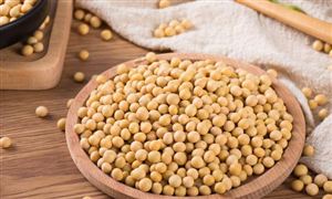 高标准农田建设正在向纵深推进 2023智慧农业行业发展现状与投资前景预测