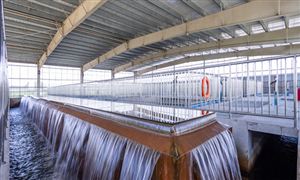 农村自来水行业前面怎么样? 2023农村自来水行业前景及调研分析