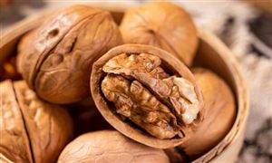 2023年中国核桃行业发展现状分析：核桃油市场规模不断扩大