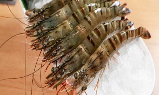 中国海水养殖虾市场现状分析 中国淡水养殖虾产量分析