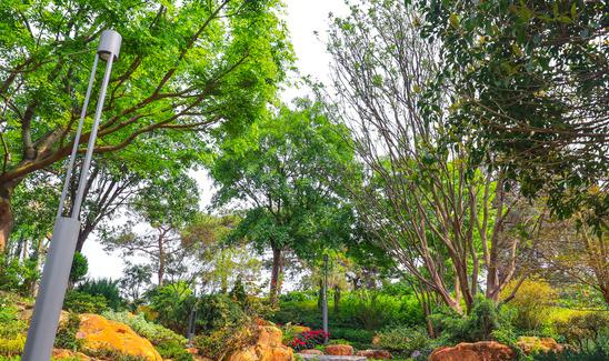 2023年中国园林景观行业发展前景分析