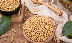 国家粮食和物资储备局：国产大豆供应充足 进口大豆粮源充足