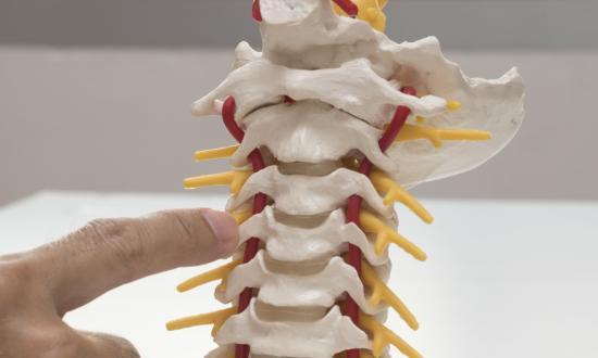 2022仿生骨市场的趋势及仿生骨行业前景分析