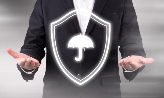 2023安全评价行业分析及行业发展现状调研