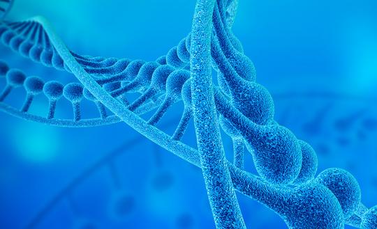 2023年中国螺旋焊接钢管行业发展趋势