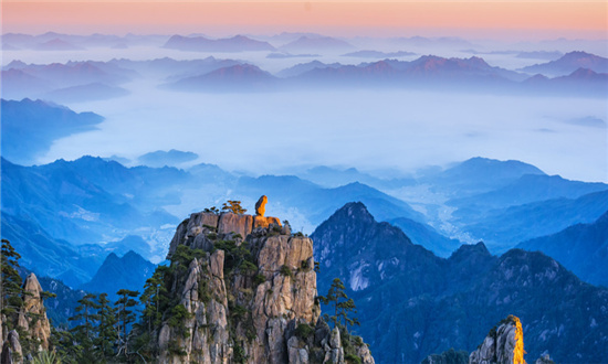 旅游摄影行业发展趋势及市场现状分析