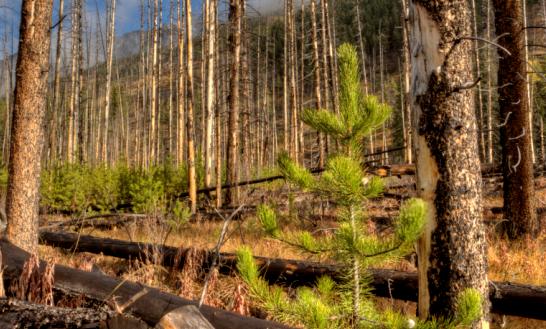 2023年中国土木工程行业发展现状分析