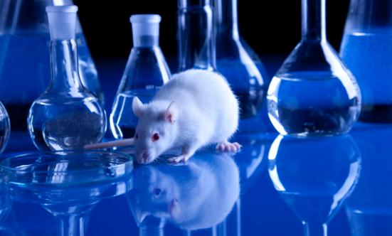 2023实验动物行业发展现状及供需格局分析