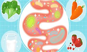 益生菌行业市场分析 2023益生菌行业发展现状分析