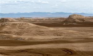 我国盐碱地综合利用取得积极进展 已形成八大体系40多项实用技术