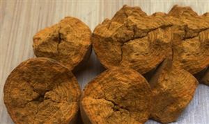  隔几天涨一次 牛黄这一中药市场 迎来牛市 一季度中药材市场迎来采购成本增加