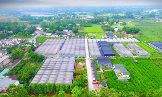 2023现代农业园区行业市场前瞻及投资分析