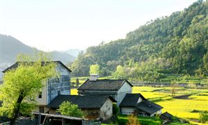 田园综合体行业发展环境 田园综合体行业投资潜力分析