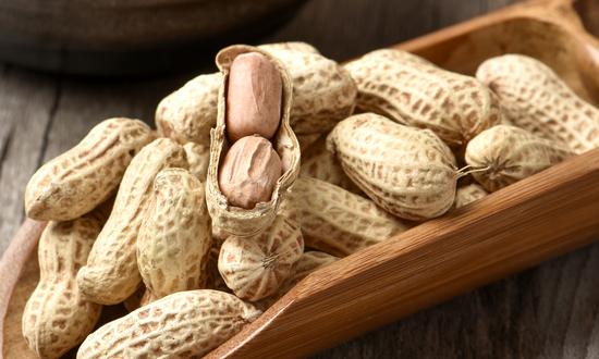 2023酒鬼花生行业发展前景及市场趋向预测分析