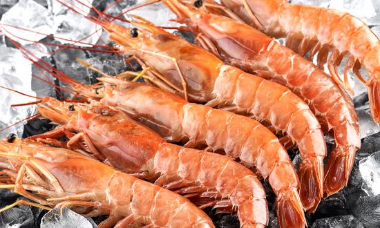 冷冻水产品行业发展分析 2023冷冻水产品市场现状趋向