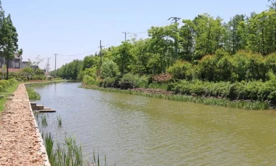 河道整治市场全景调研及投资分析