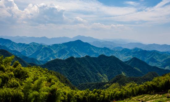 2023中国森林旅游行业发展分析