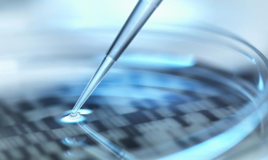 单细胞测序投资市场评估 单细胞测序行业发展现状调研及投资前景