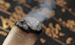 艾草全产业链发展相对成熟 大健康产业的市场规模已经达到5万亿元