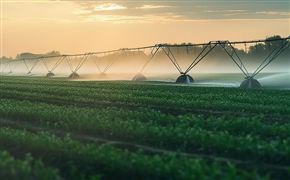 数字化赋能乡村振兴建设 2023中国农村信息化行业发展前景