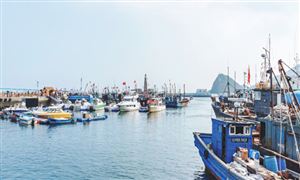 海洋运输行业调研 海洋运输行业发展分析2023