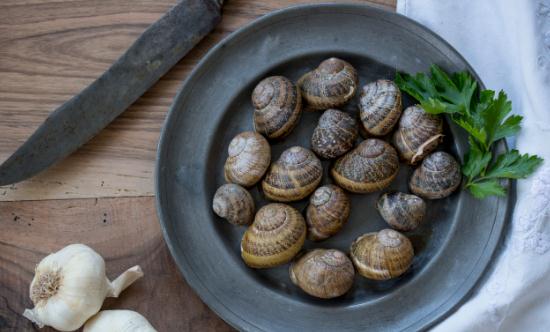 蜗牛市场供需形势分析 蜗牛养殖行业市场深度分析