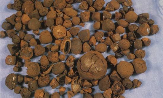 人工牛黄行业市场供需如何？人工牛黄行业市场发展现状