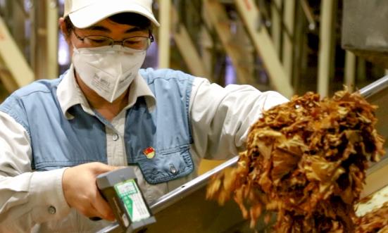 2023烟草生产行业发展前景现状分析