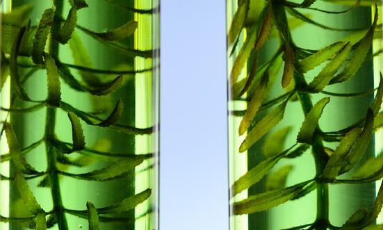 全球及中国单细胞测序行业发展现状 全球及中国单细胞测序行业投资前景分析