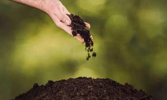 2023微生物肥料行业发展前景投资研究