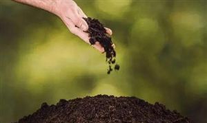 2023微生物肥料行业发展前景投资研究